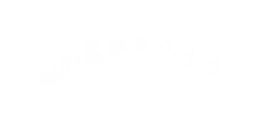 脳の基本スペック