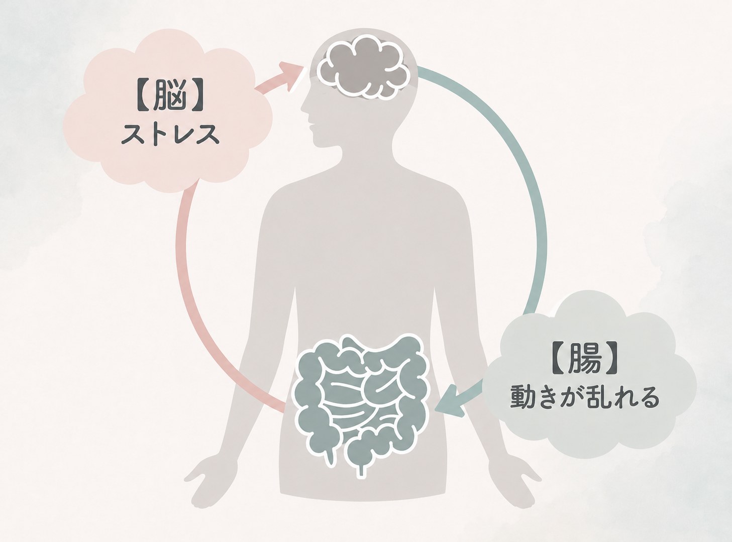 脳腸相関の図解:脳のストレスが腸を乱し、腸の乱れが脳に影響する双方向の関係