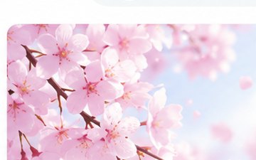 春土用の桜